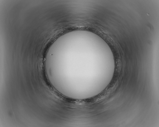 X0000110960612200906191051