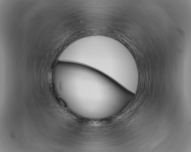 X0000110960613200906191051