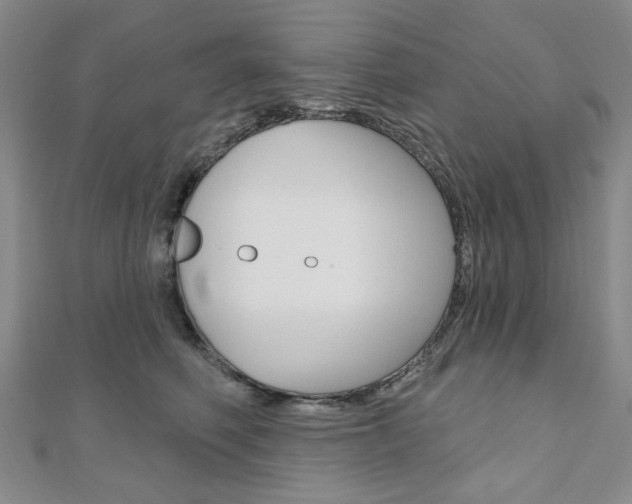 X0000110960614200906191051