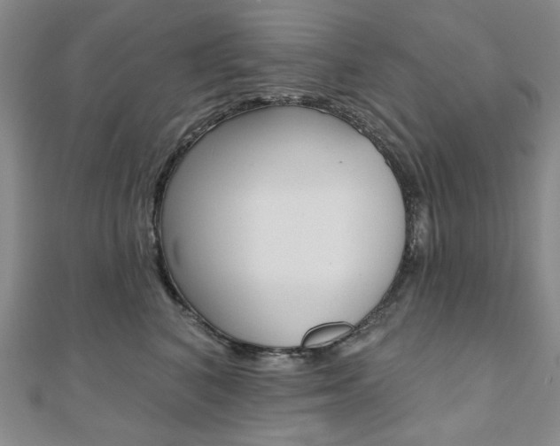X0000110960616200906191051