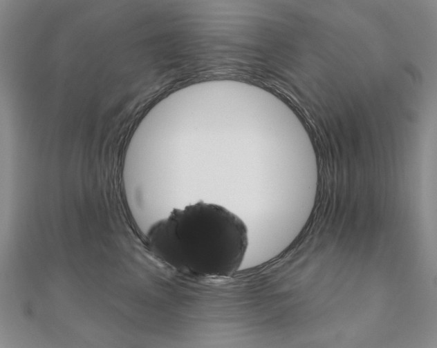 X0000110960617200906191051