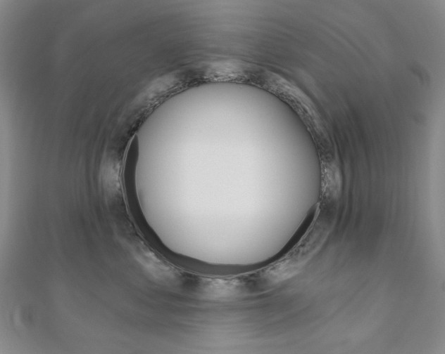 X0000110960621200906191050
