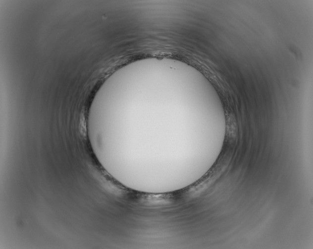 X0000110960622200906191050