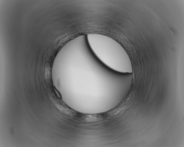 X0000110960623200906191050