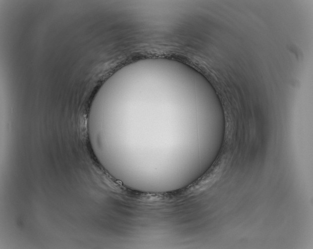 X0000110960624200906191050