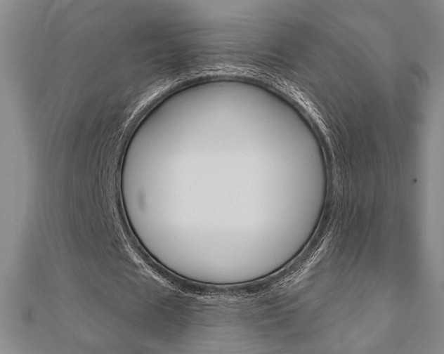 X0000110960625200906191050