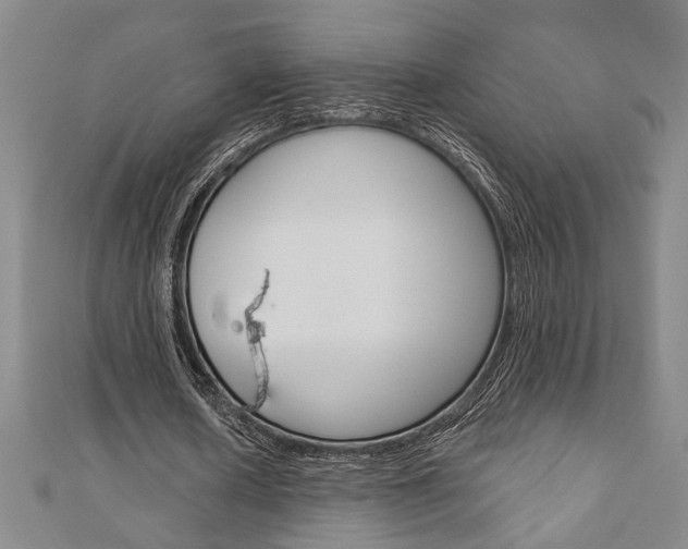 X0000110960626200906191050