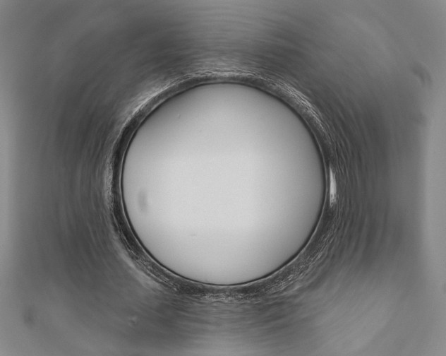 X0000110960627200906191050