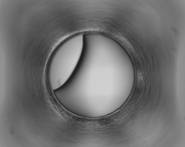 X0000110960628200906191050