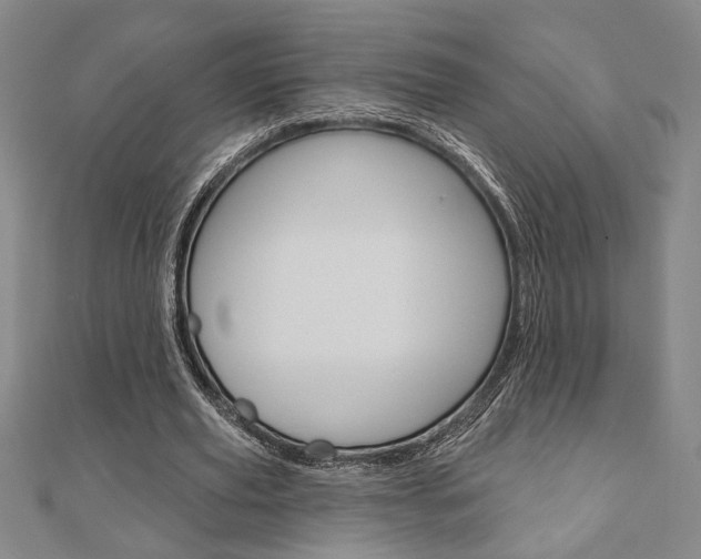 X0000110960629200906191050