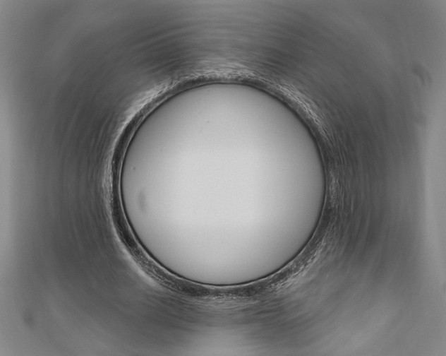 X0000110960630200906191050
