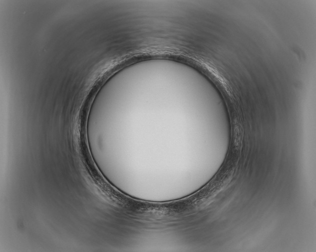 X0000110960631200906191050