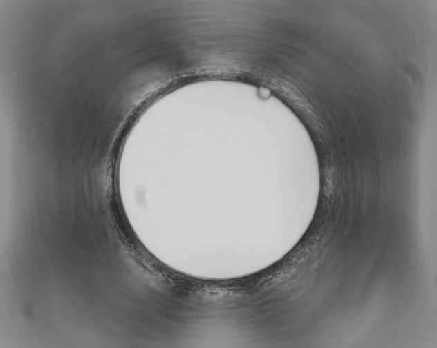 X0000110960632200906191050