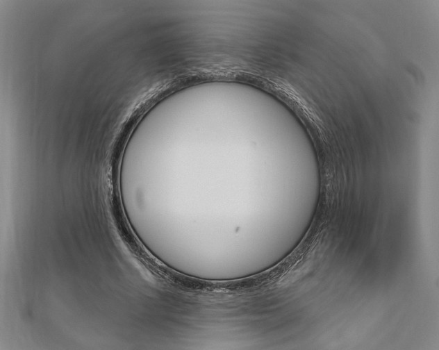 X0000110960634200906191050