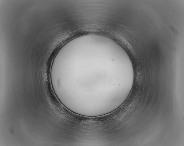 X0000110960635200906191050