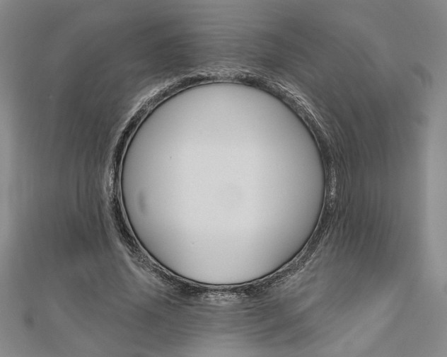 X0000110960636200906191050