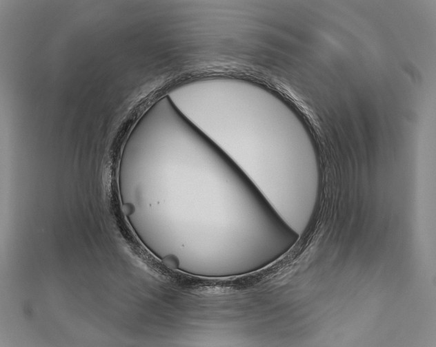 X0000110960637200906191050