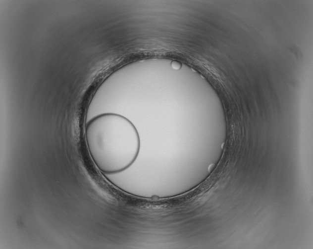 X0000110960638200906191050