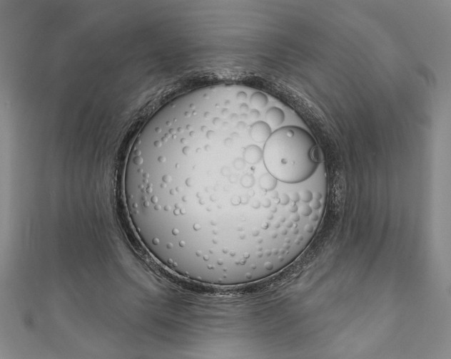 X0000110960639200906191050