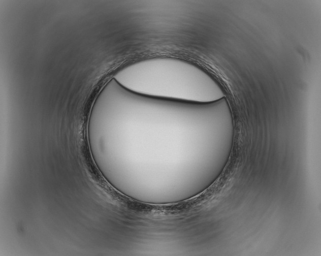 X0000110960641200906191050