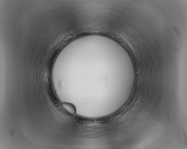 X0000110960643200906191050