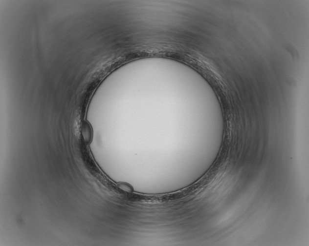 X0000110960644200906191050