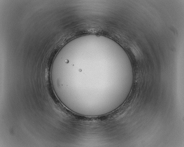 X0000110960646200906191050