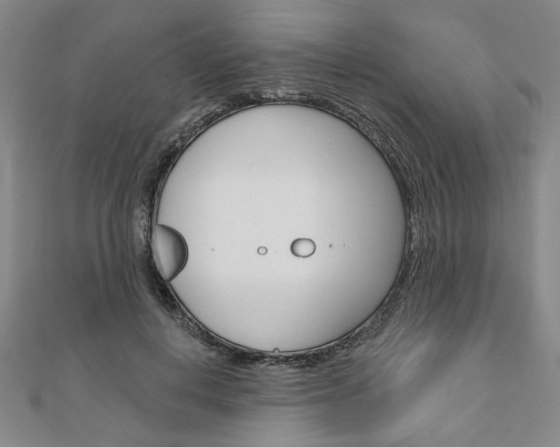 X0000110960648200906191050