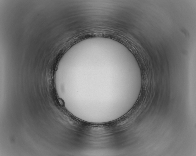 X0000110960653200906191050
