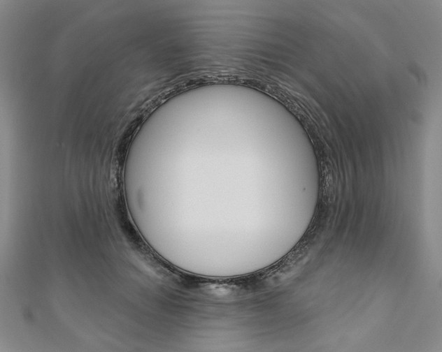 X0000110960654200906191050