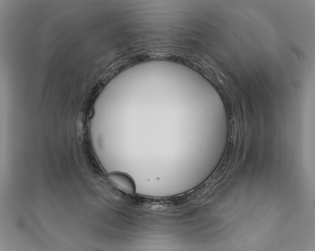 X0000110960655200906191050