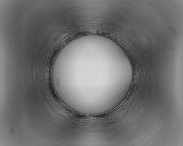 X0000110960656200906191050