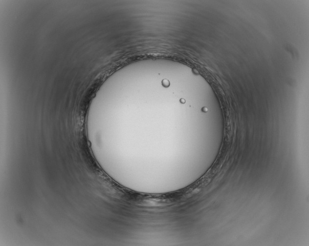 X0000110960657200906191050