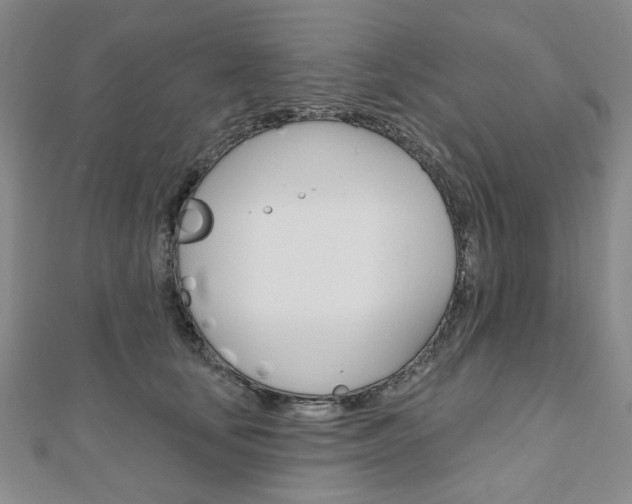 X0000110960659200906191050