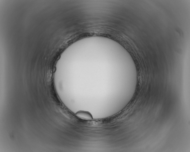 X0000110960660200906191050