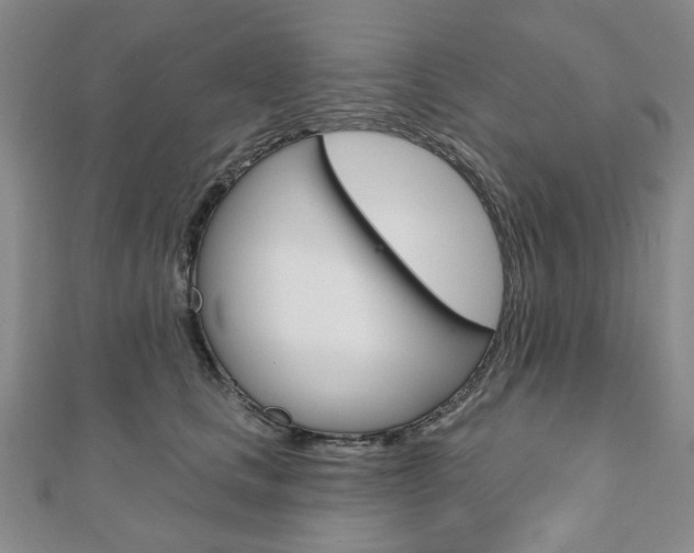 X0000110960661200906191050