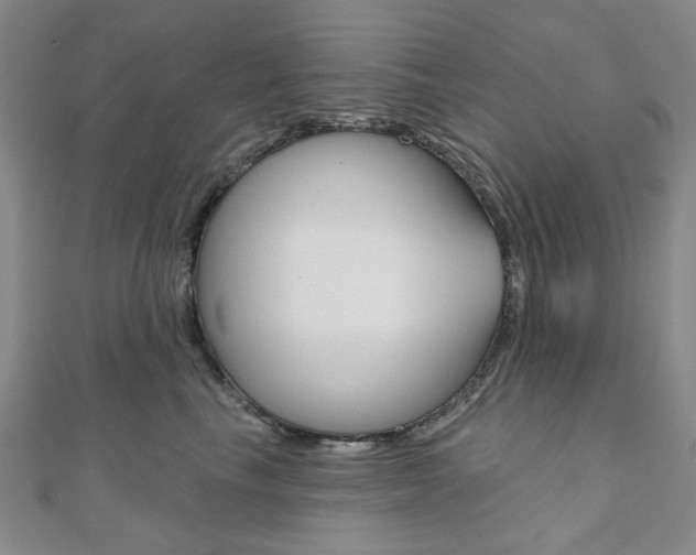 X0000110960665200906191050