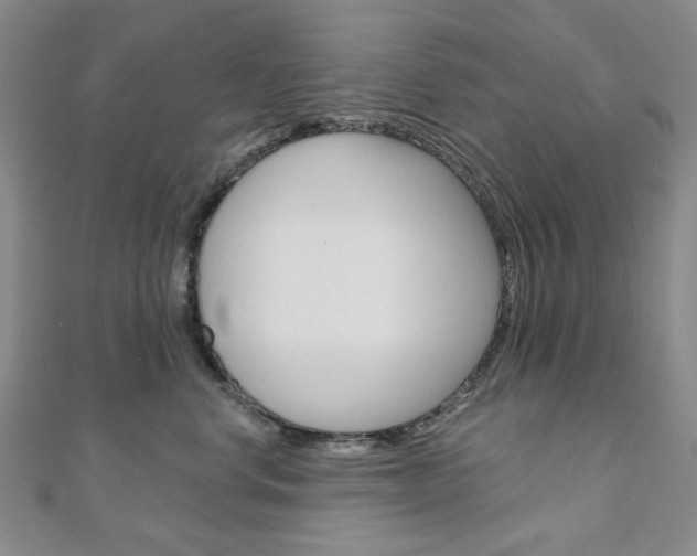 X0000110960668200906191050
