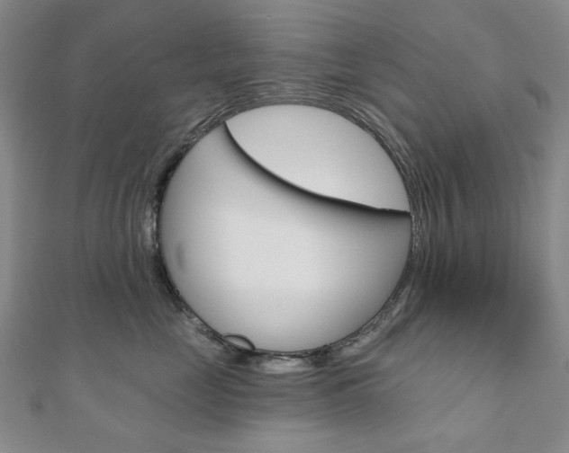 X0000110960669200906191050