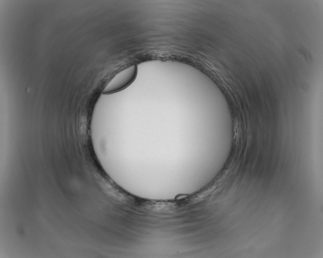 X0000110960670200906191050