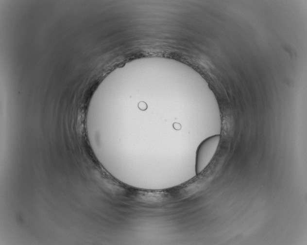 X0000110960671200906191050
