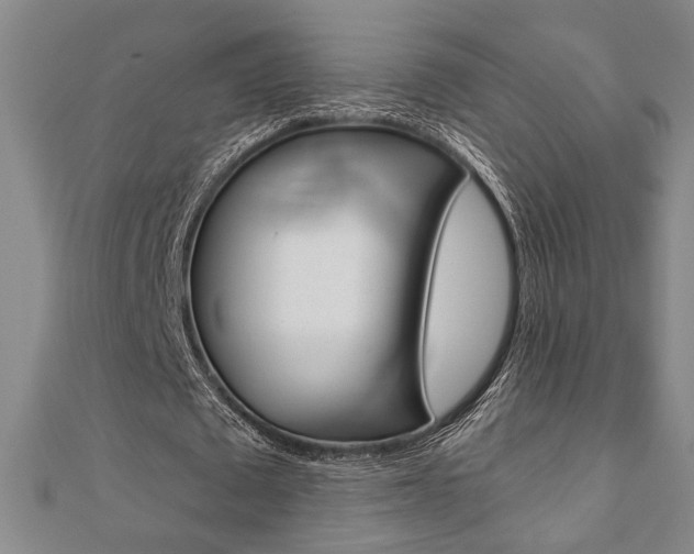 X0000110960673200906191050