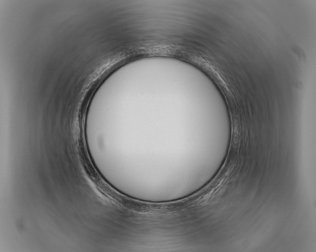 X0000110960674200906191050
