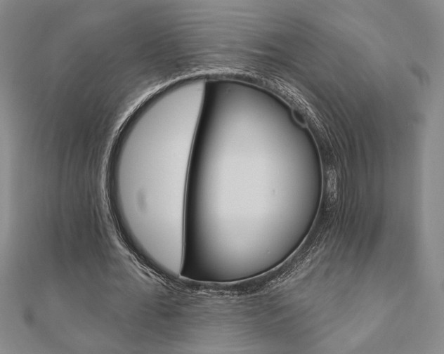 X0000110960676200906191050