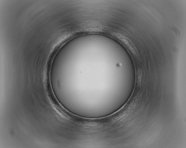 X0000110960677200906191050