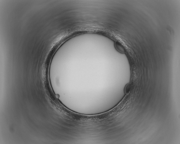 X0000110960679200906191050