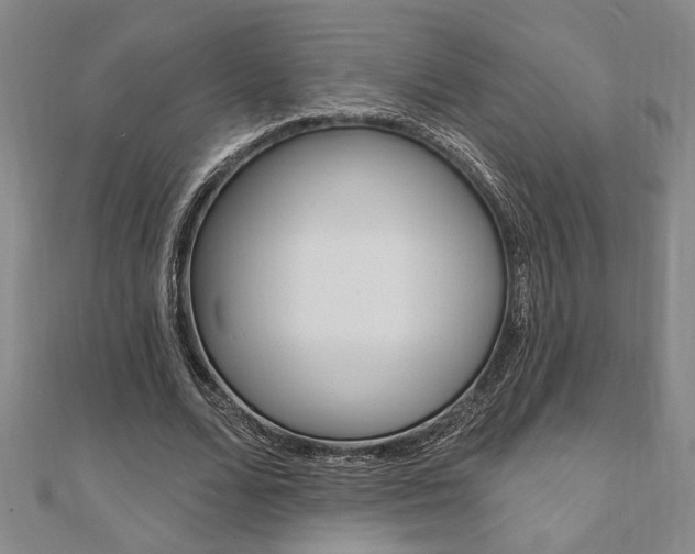 X0000110960680200906191050
