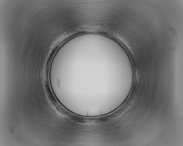 X0000110960682200906191050