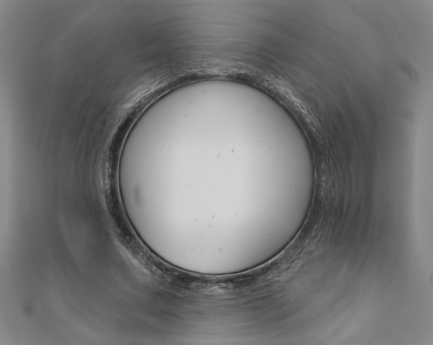 X0000110960683200906191050