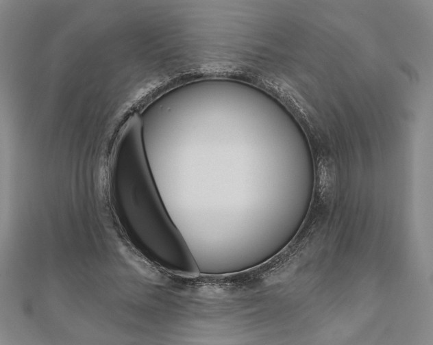 X0000110960684200906191050